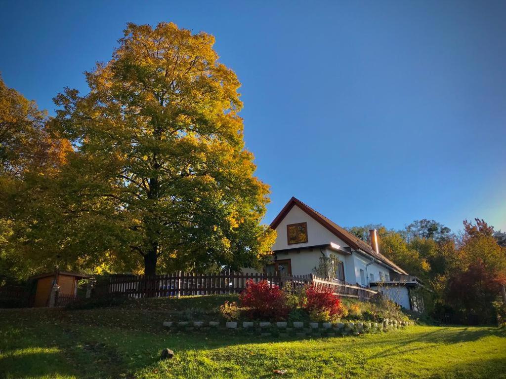 Ferienhaus Koller 居辛 外观 照片