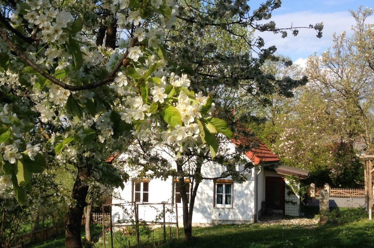 Ferienhaus Koller 居辛 外观 照片